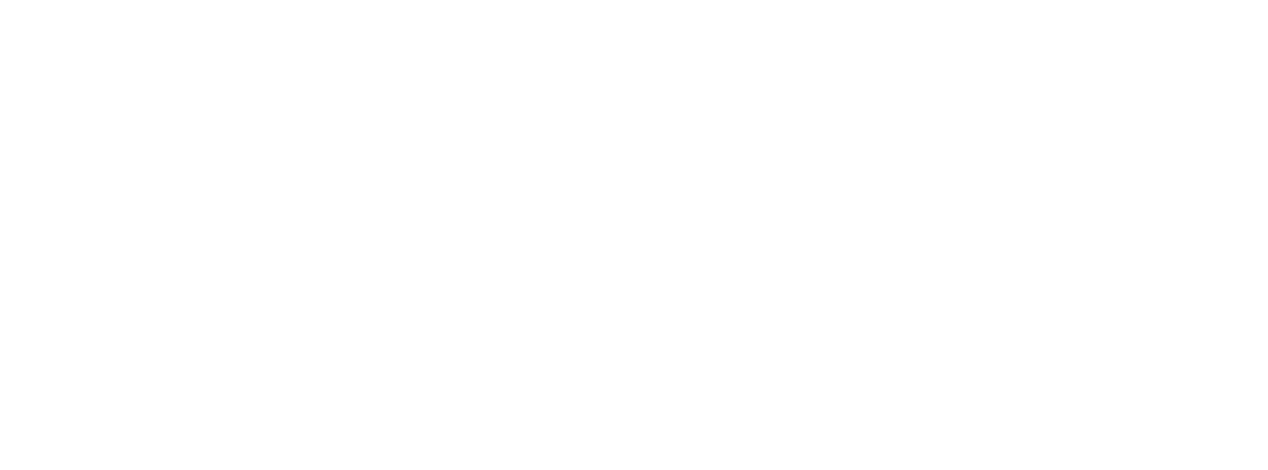 Freedom Logo