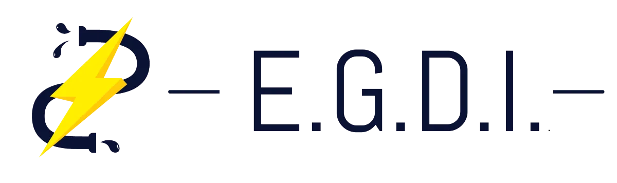 Logo E.G.D.I. srl