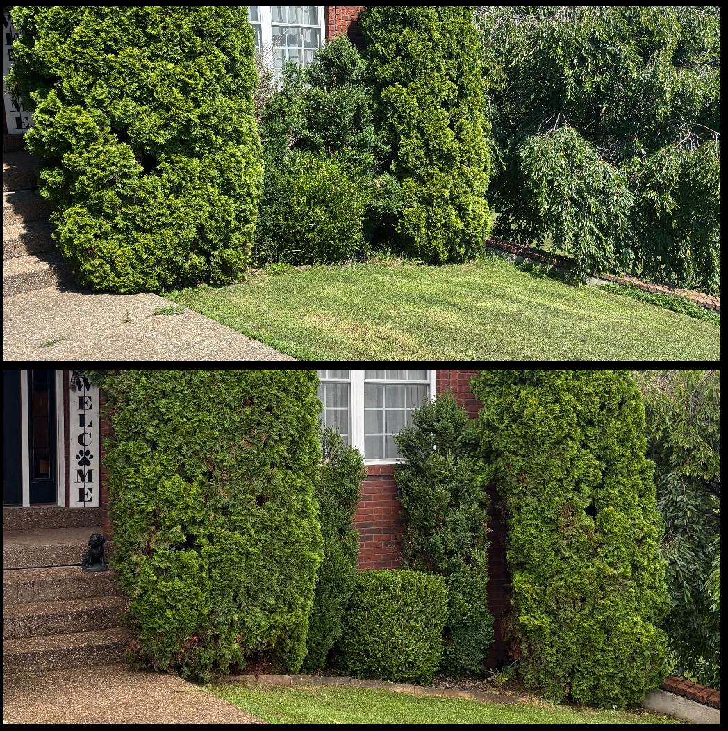 Home before curb appeal landscaping