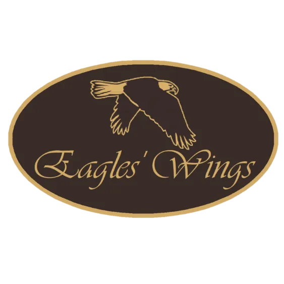 Eagles' Wings, Inc. nonprofit logo