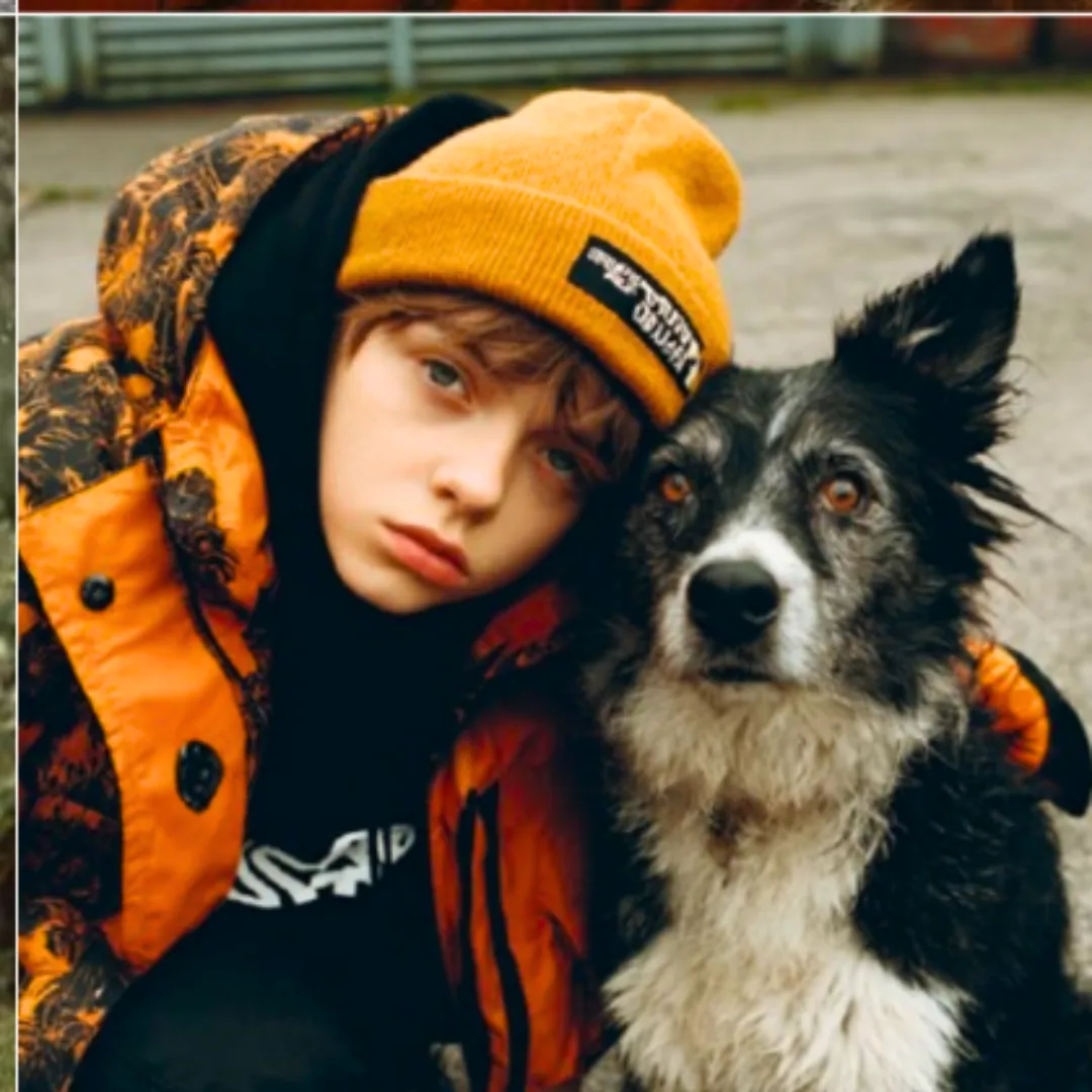 black and tan short coat small dog on green grass field during daytime