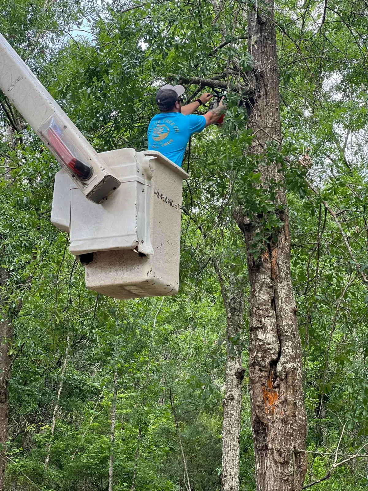 A man cooking on a grill in the woods