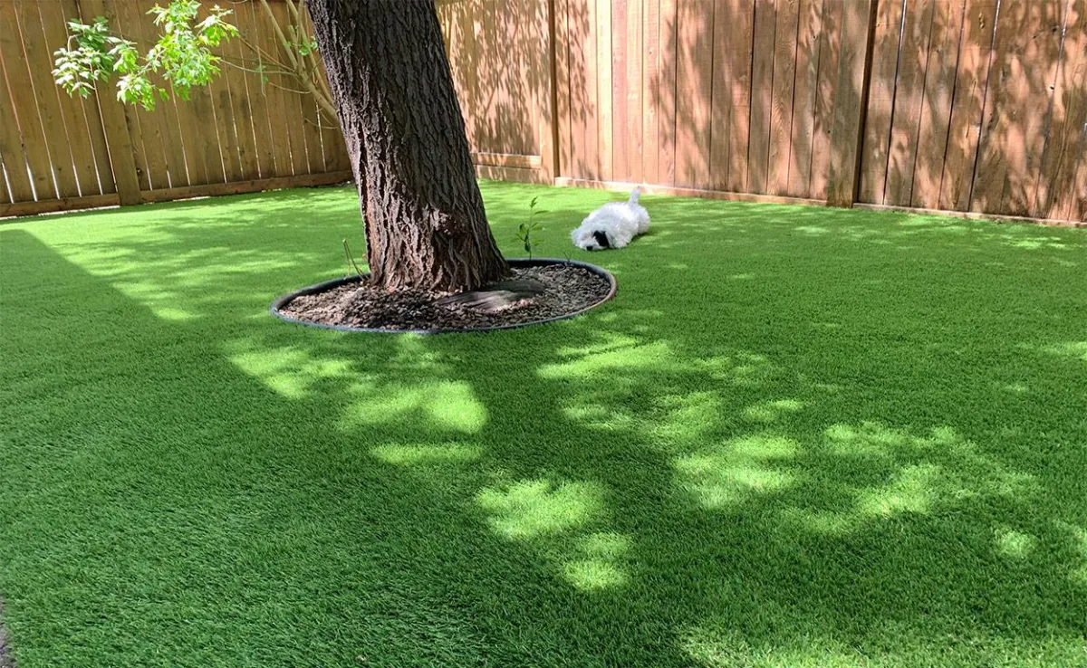 artificial turf backyard install dallas fort worth