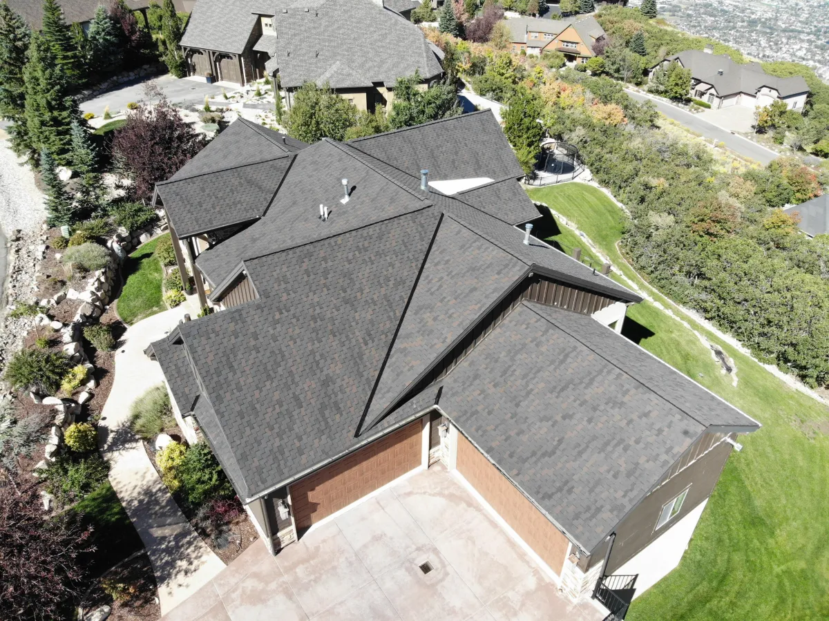 Roof 7