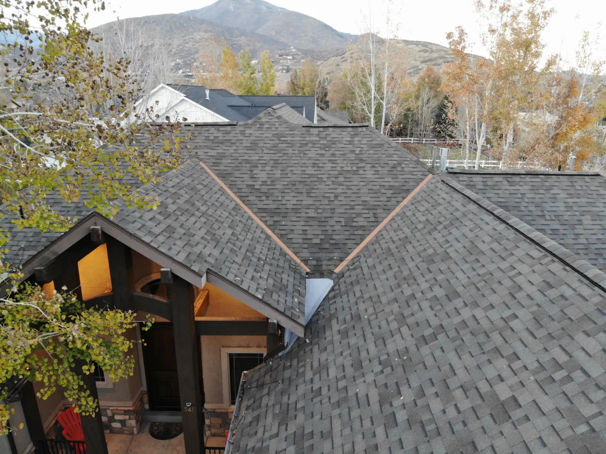 Roof 8