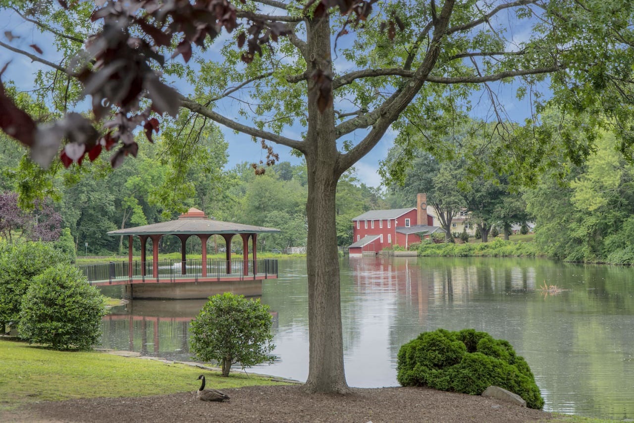 Top Therapist in Bergenfield NJ | Bluebird Therapy