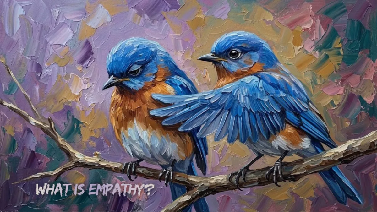 What is Empathy?