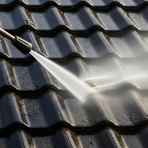 Roof soft wash cleaning service in Miramar, FL 
