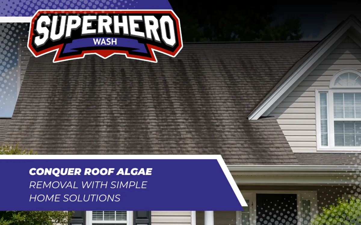 Roof algae removal needed on shingles with dark streaks