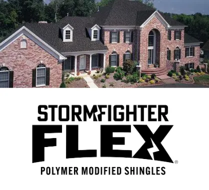 Tako Stormfighter Flex logo