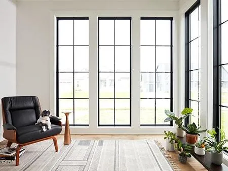 Window replacement and repair services to improve energy efficiency, comfort, and curb appeal by Twin Bridge Roofing & Construction