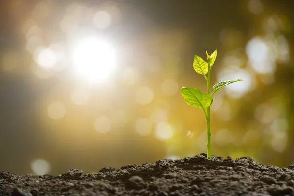 Spiritual Growth Michelle Lynn Hypnosis