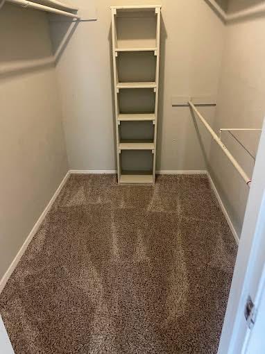 Apartment Cleanings in 