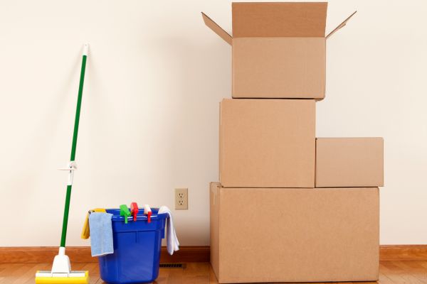 Recurring Cleanings in 