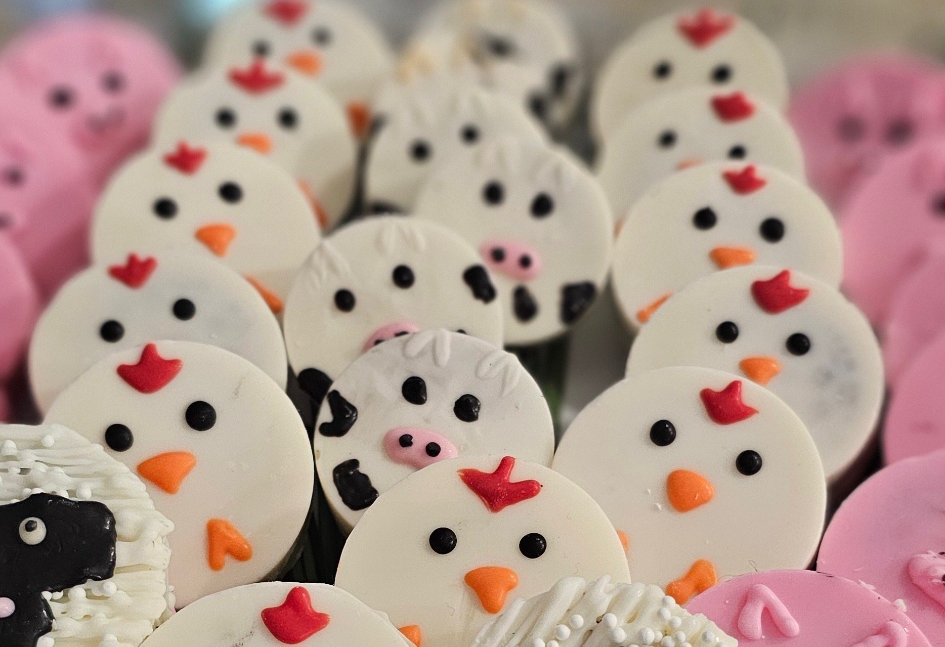 Catering dessert display