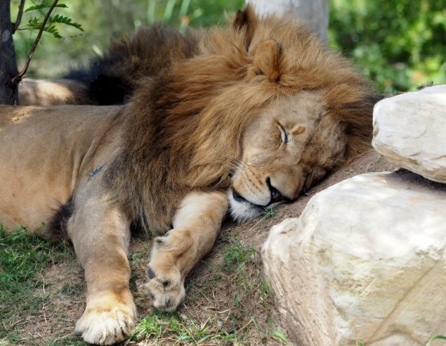 ¿Qué es valor y porque es importante en la era de la IA?