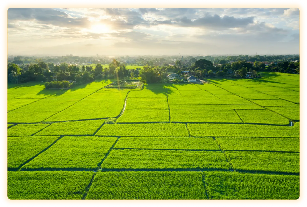 IT onboarding steps illustration