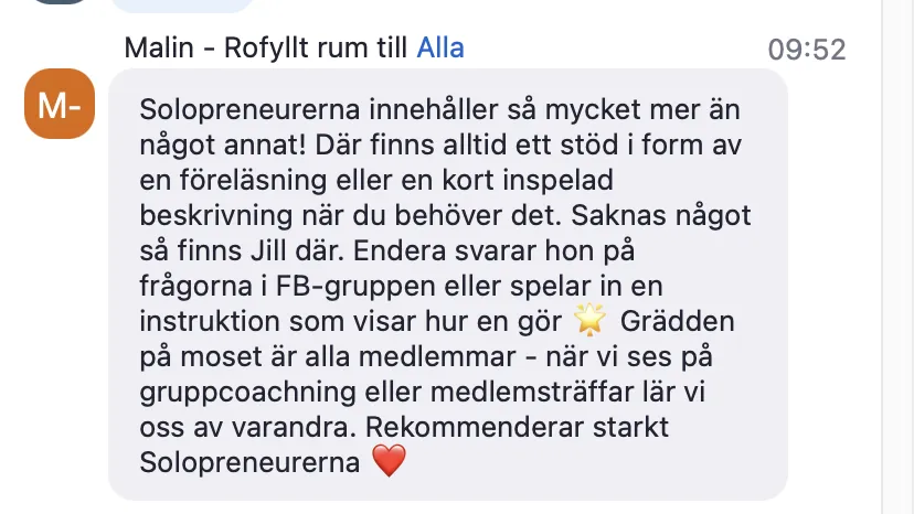 Ord från en medlem i solopreneurerna från den slutna faceboogruppen