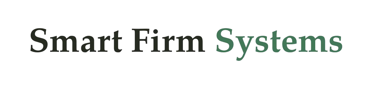 Smart Firm Systems