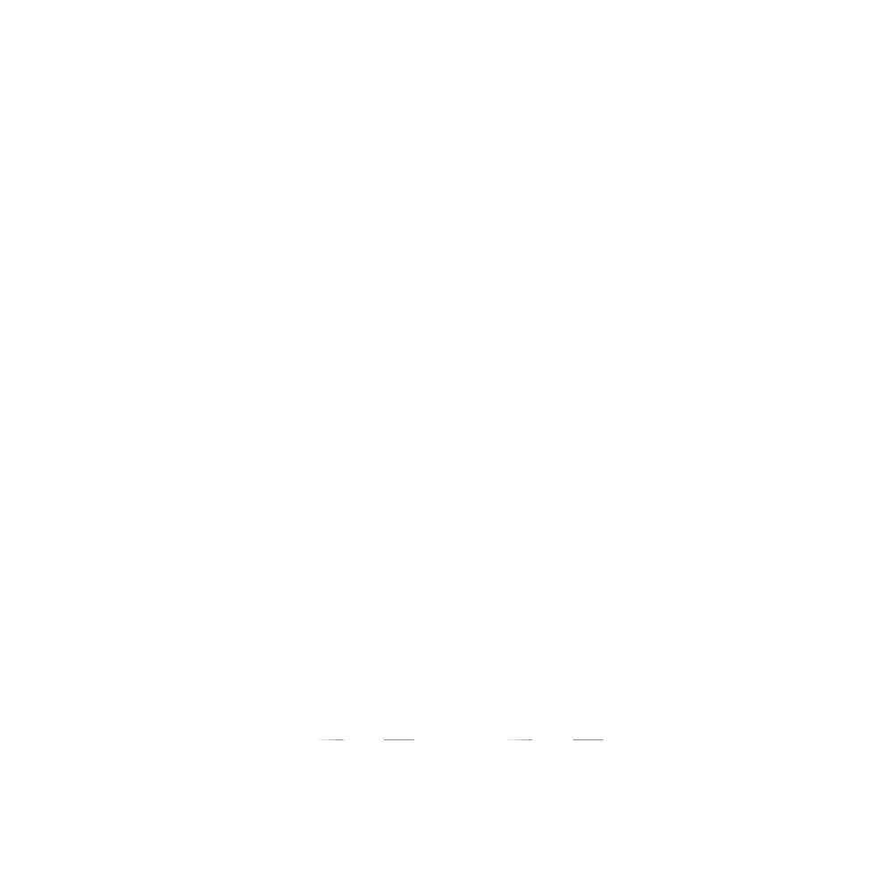 jimburnworthsafaris logo