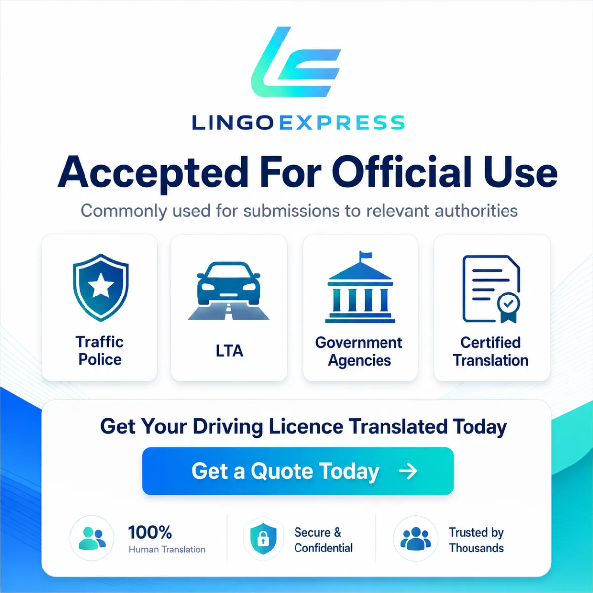 Driving Licence infographics 1