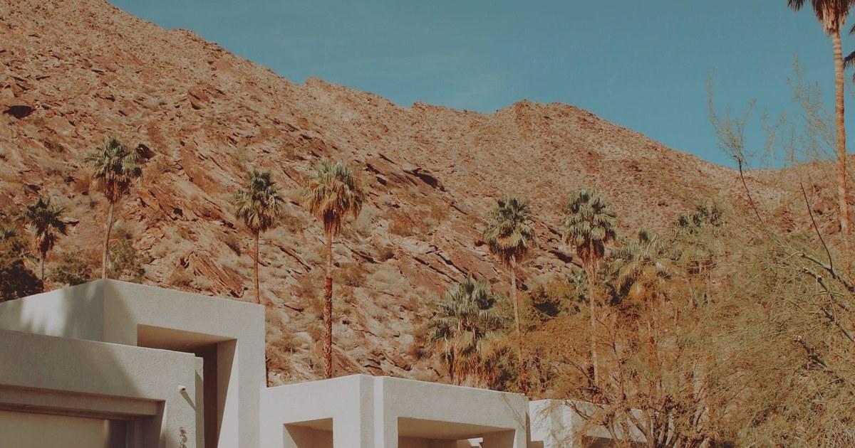 White modern home with palm trees and a desert mountain behind it under a clear sky