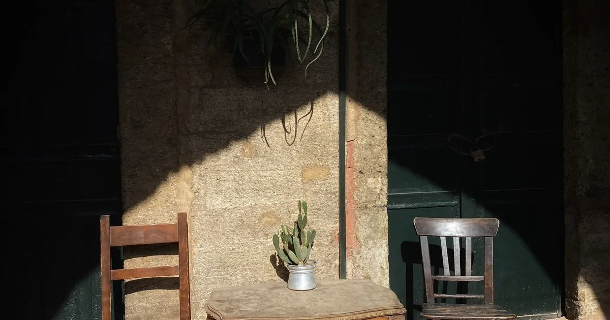 Two wooden chairs on either side of a small table with a potted cactus in afternoon sun