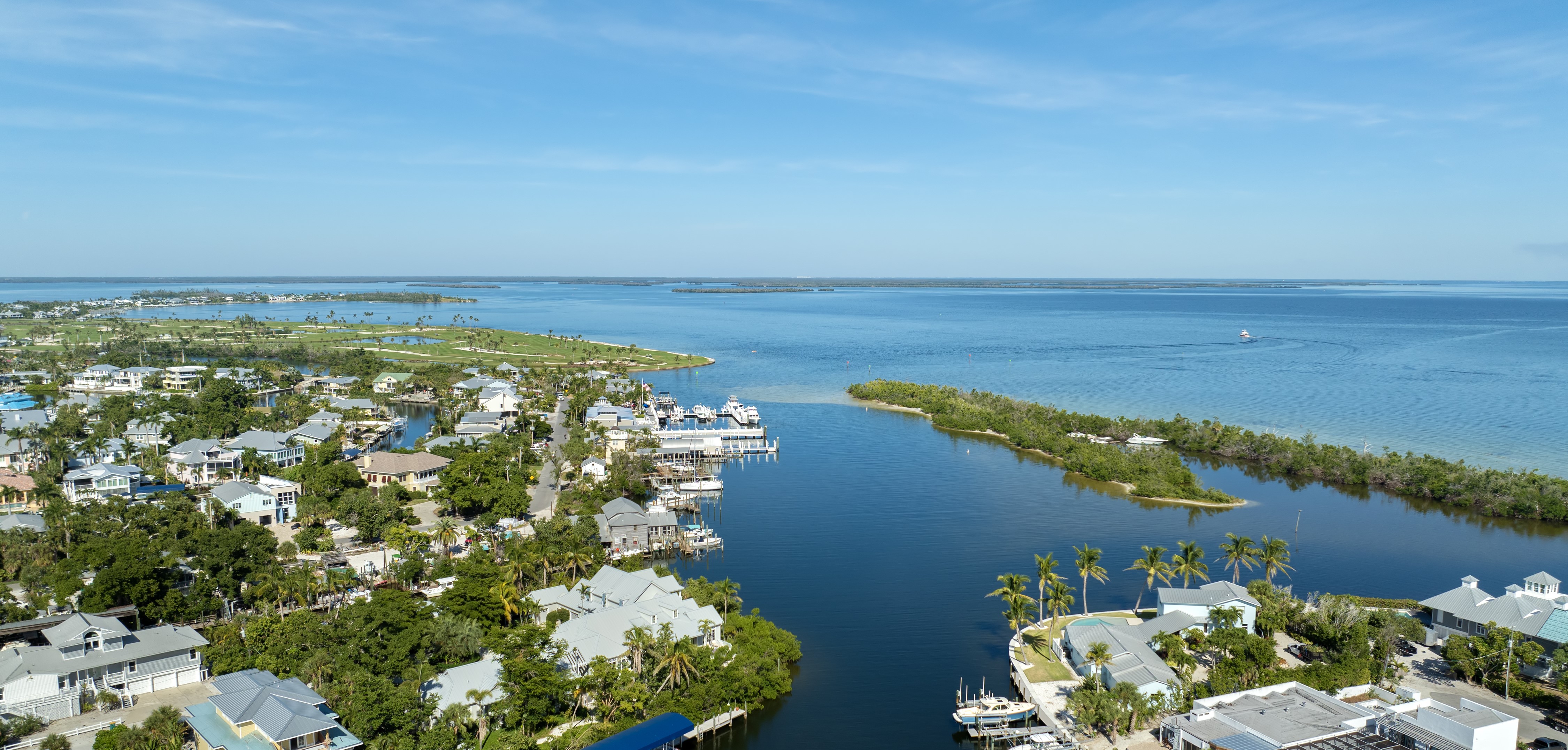 The Rise of Wellness Suites and Longevity Design in Pinellas Mansions
