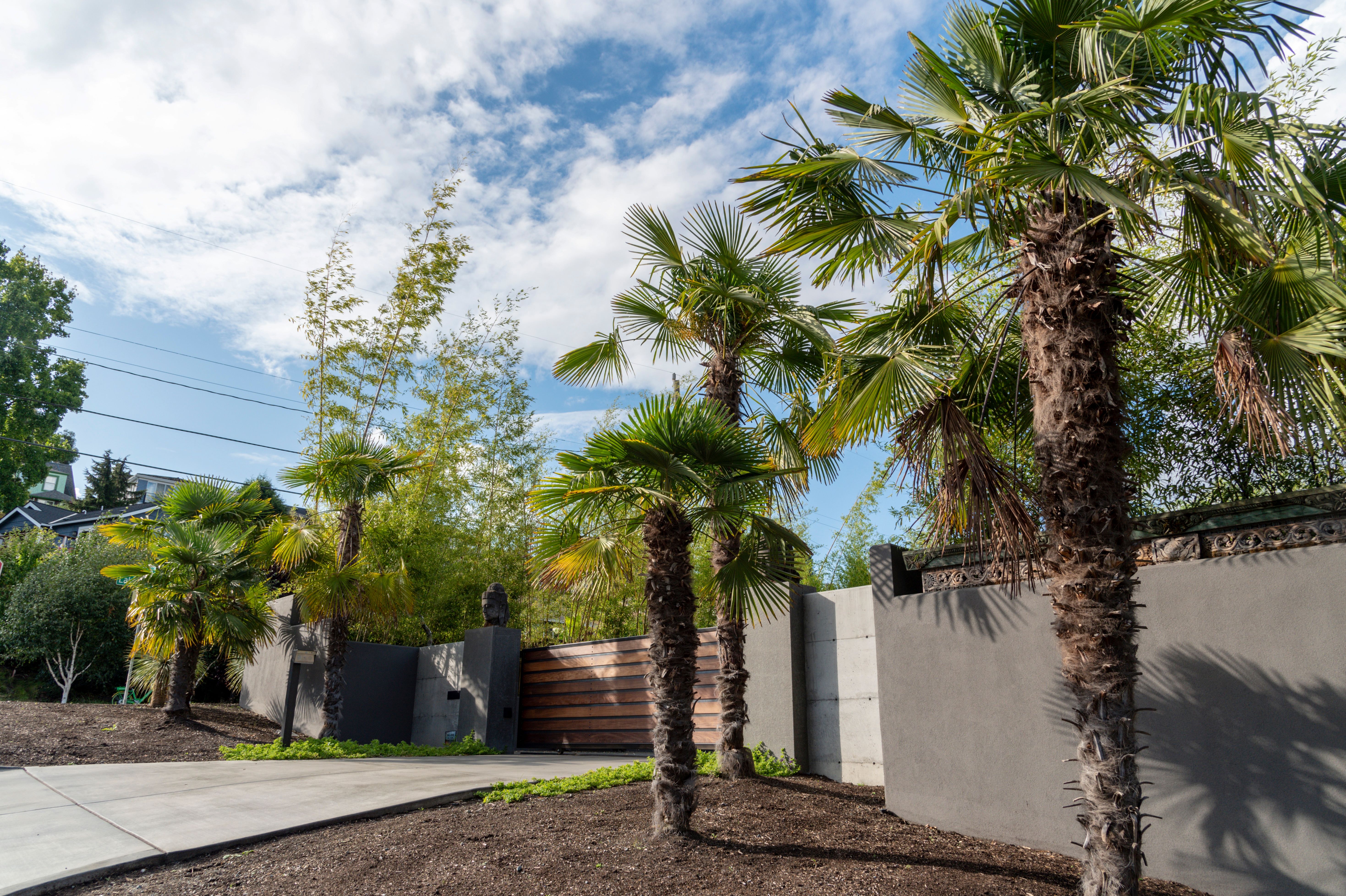 The Resilient Premium: Why 2026 Luxury Capital Favors Single-Family Homes