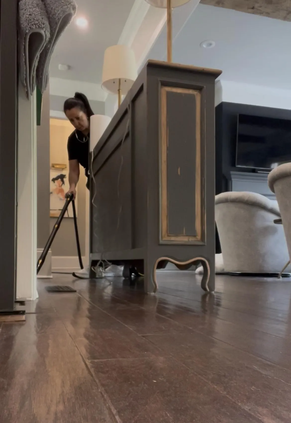 Professional house cleaners training
