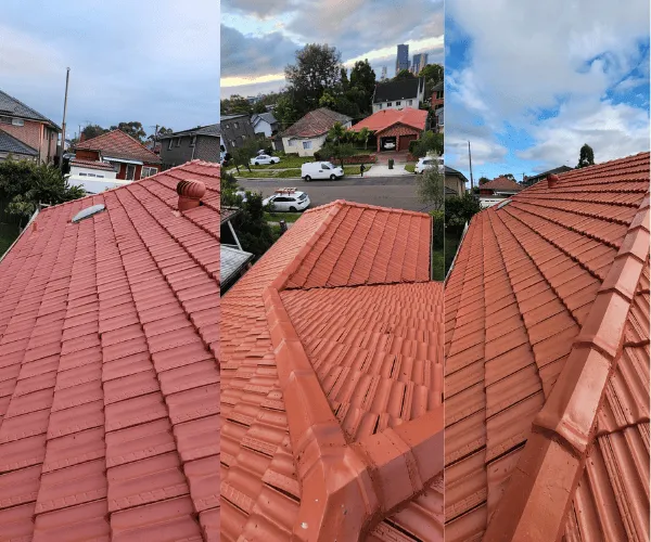 Residential Painting North Sydney