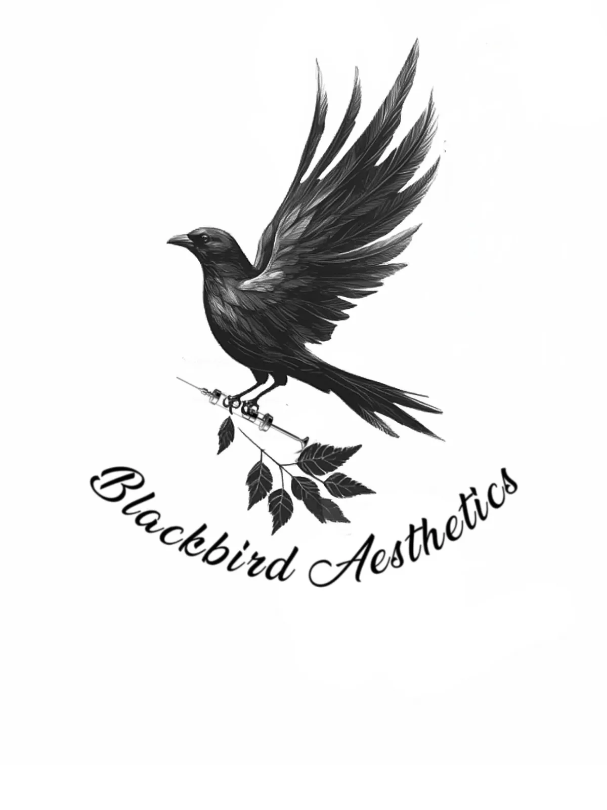 Black Bird Aesthetics