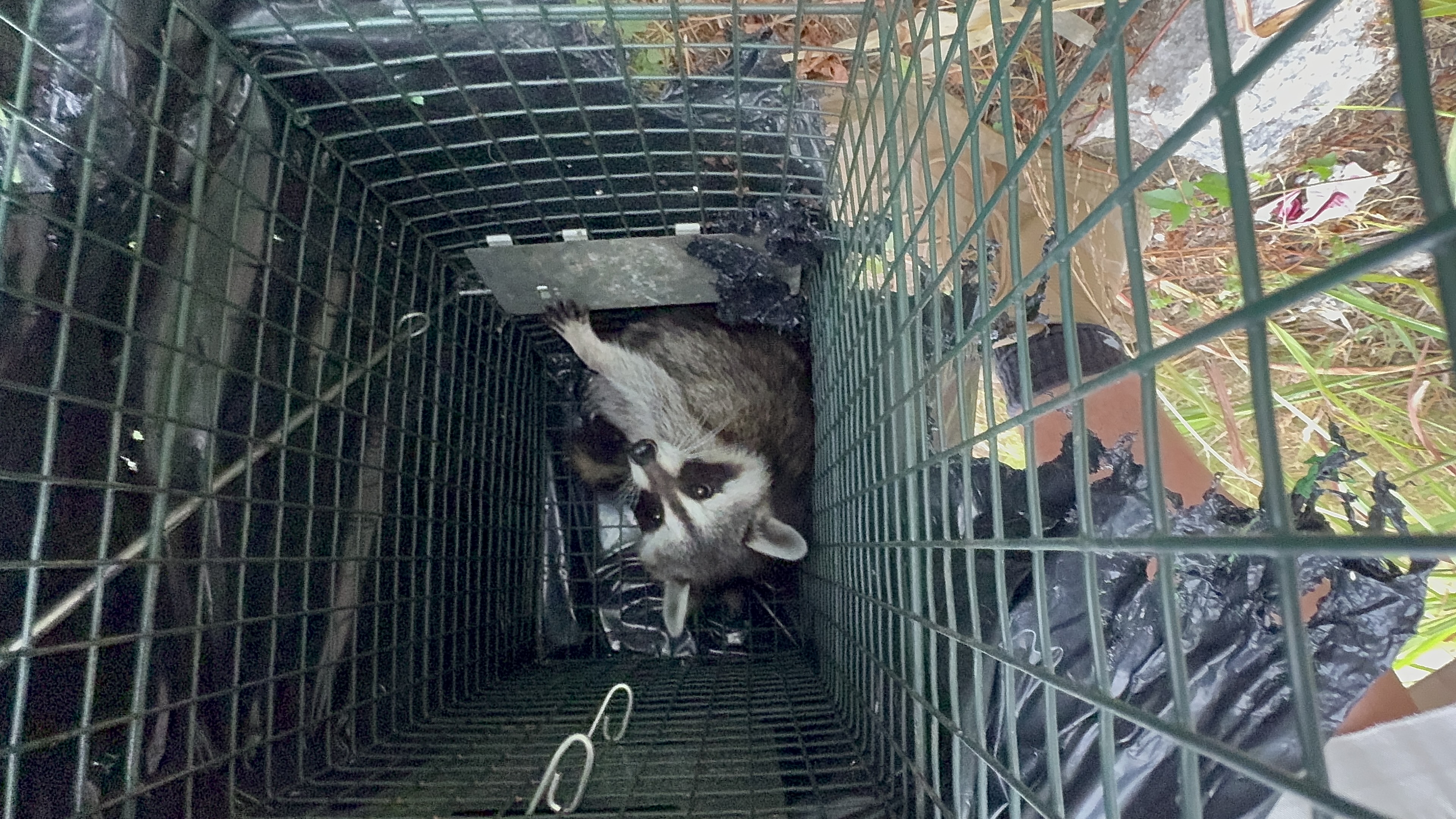 Technician inspecting severe structural damage
