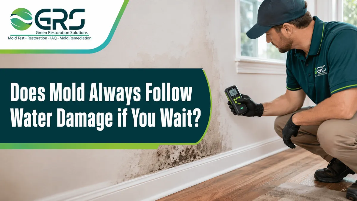 Does Mold Always Follow Water Damage if You Wait?