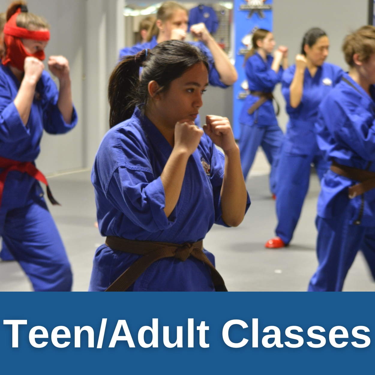 Martial Arts Classes For Adults in Madison!