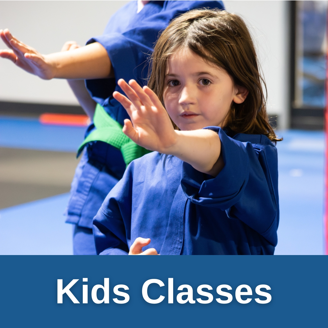 Children's Martial Arts Classes In Madison!