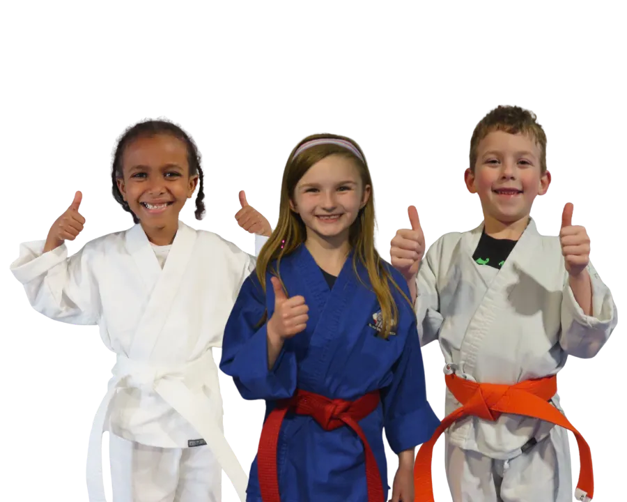 The Best Martial Arts Classes in Madison!