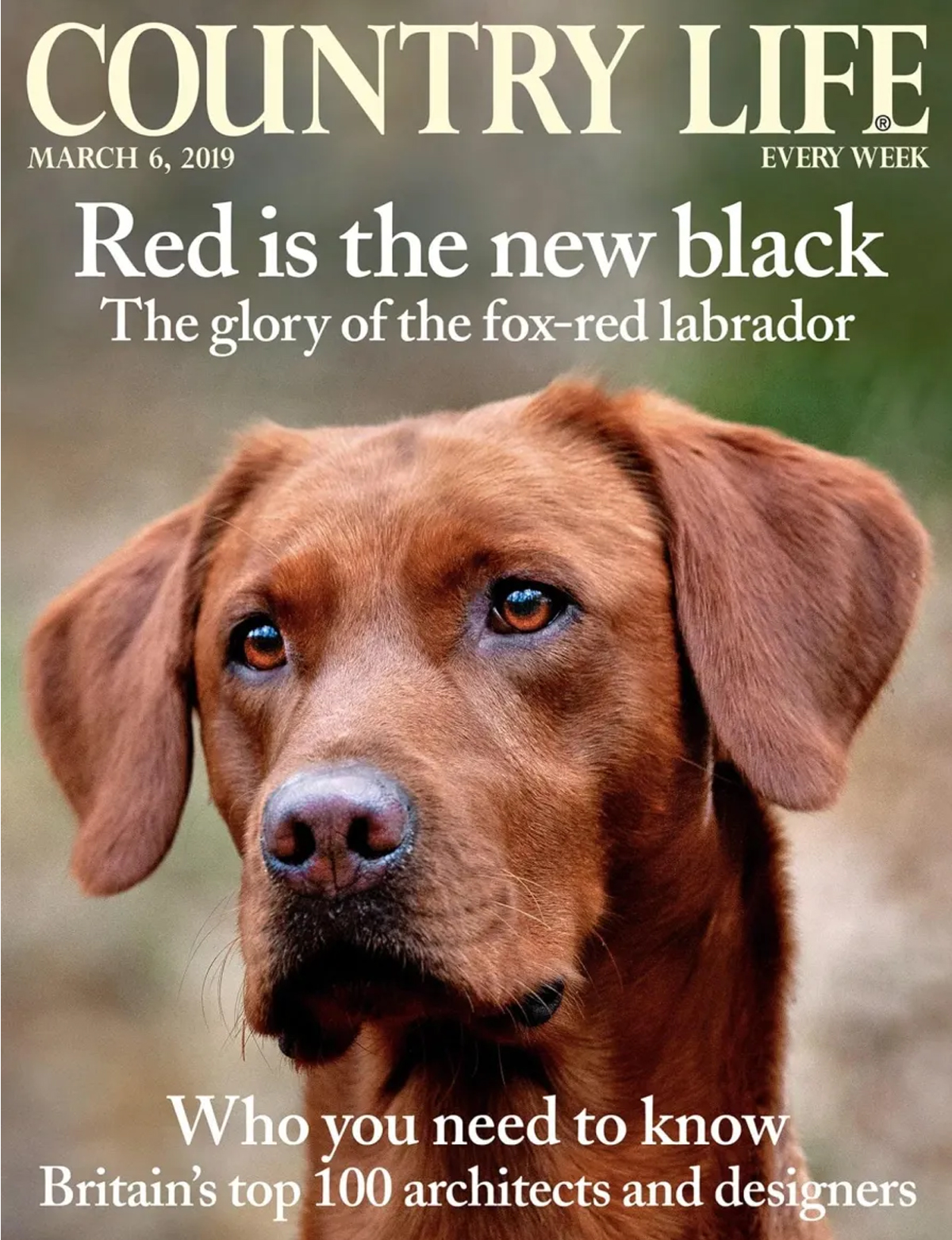 Country Life - March 2019