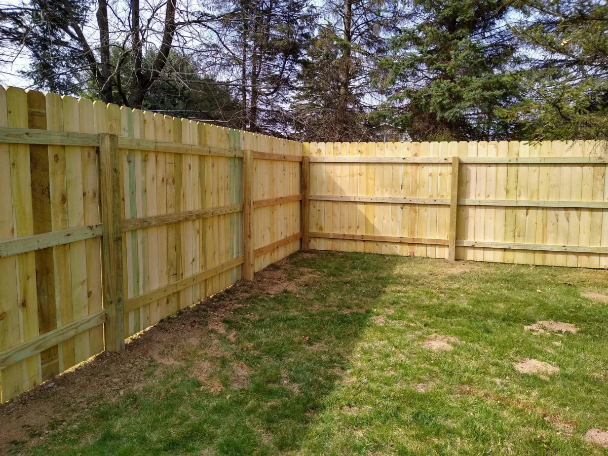 Treated pine privacy fence installation example