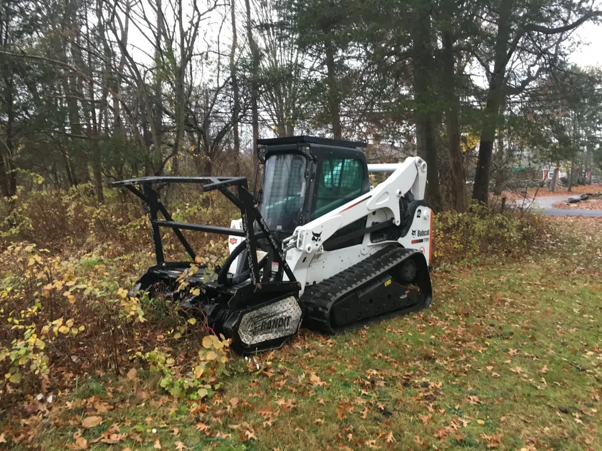 Beautiful pond grasses and lavender with perfect rolling lawn care by Carpenter Landscaping