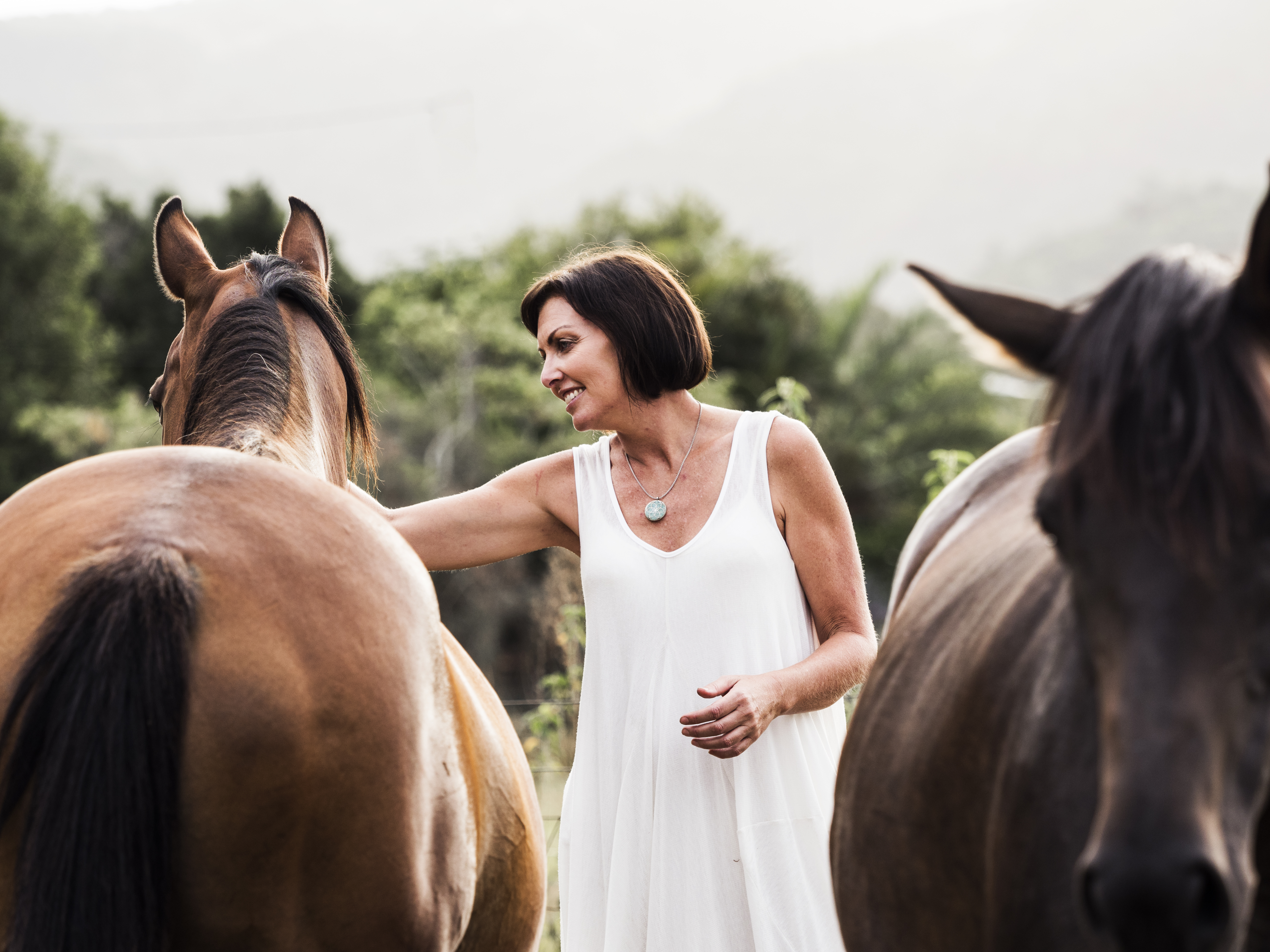 Secure attachment expert