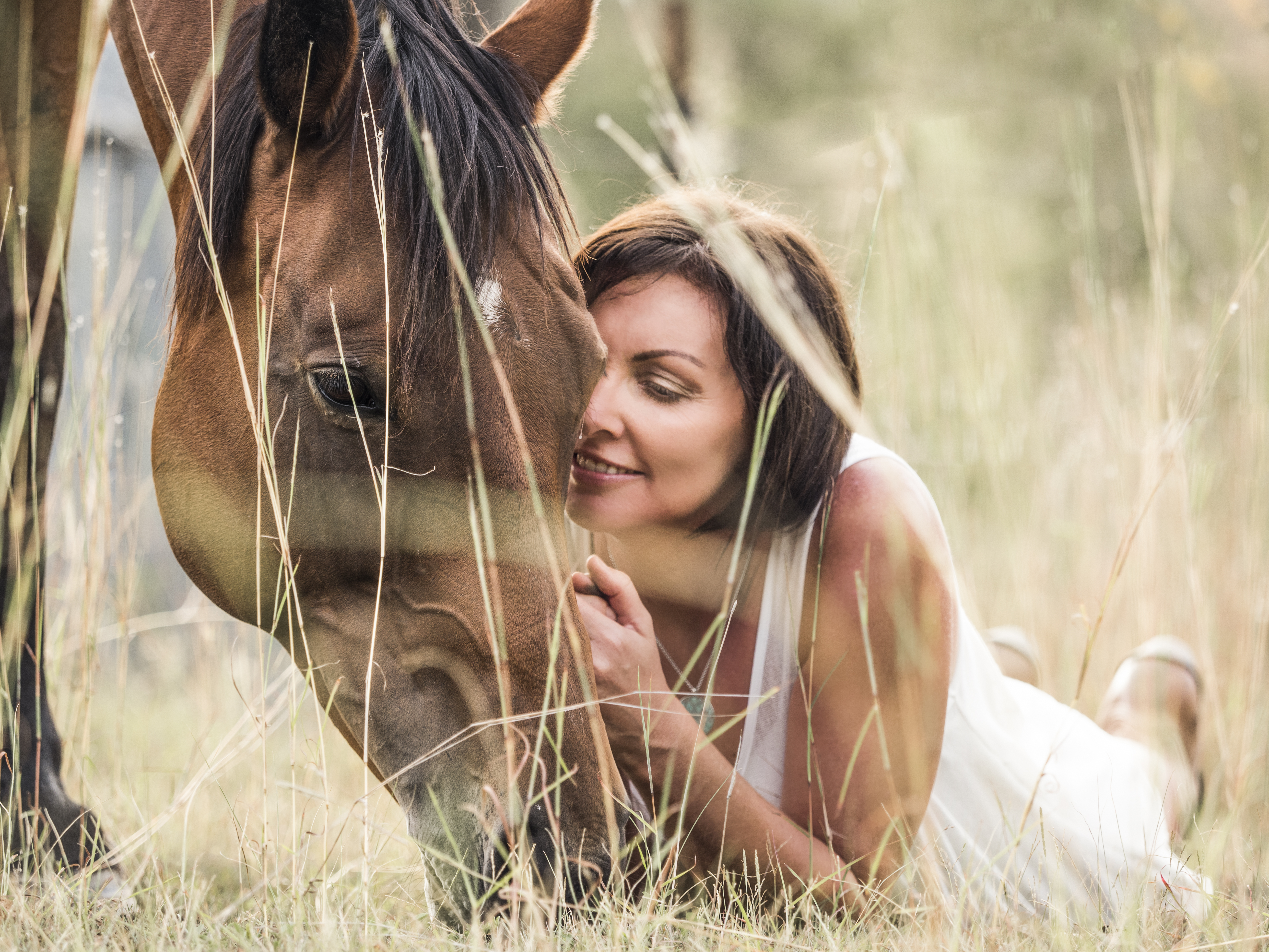 Secure Attachment Healing