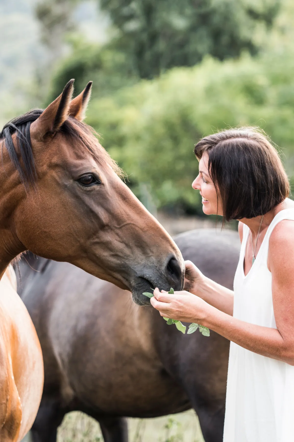 trauma informed healing