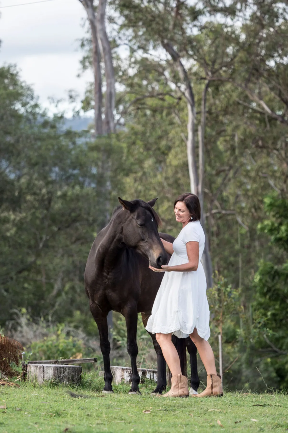 Somatic Trauma Coaching