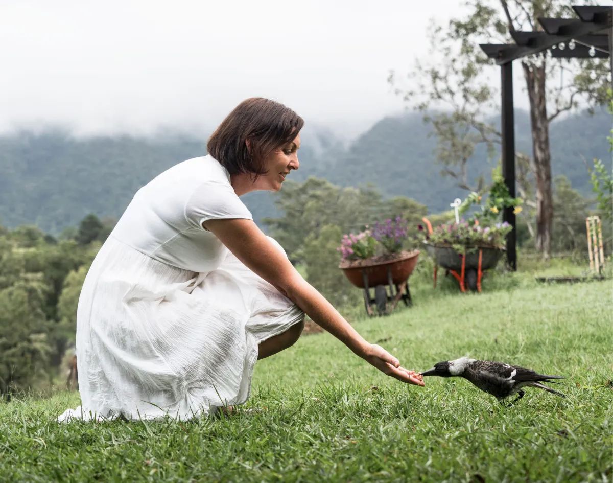 Anchor, Expand, Align