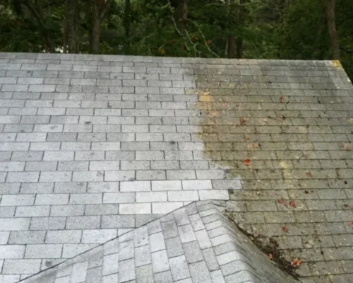 Palmer Power Washing