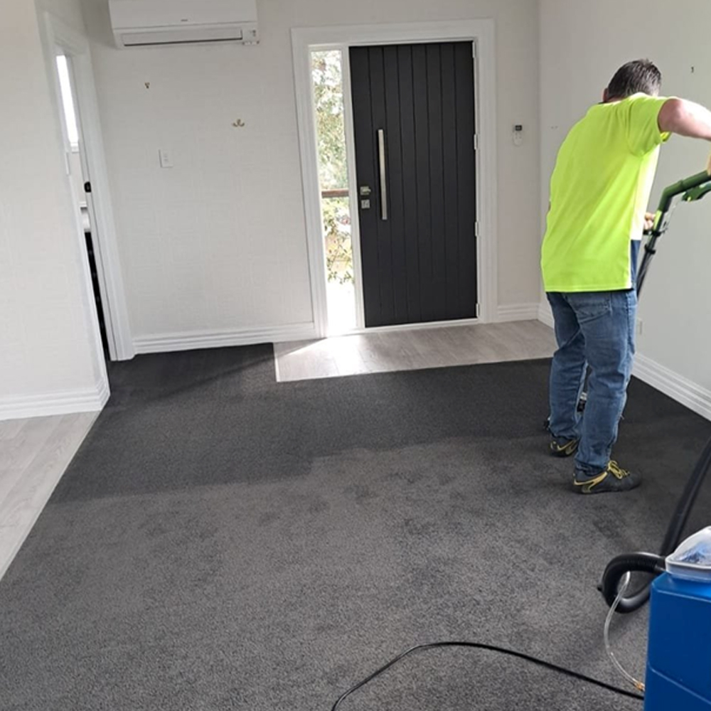 technician performing deep carpet clean in Manawatu
