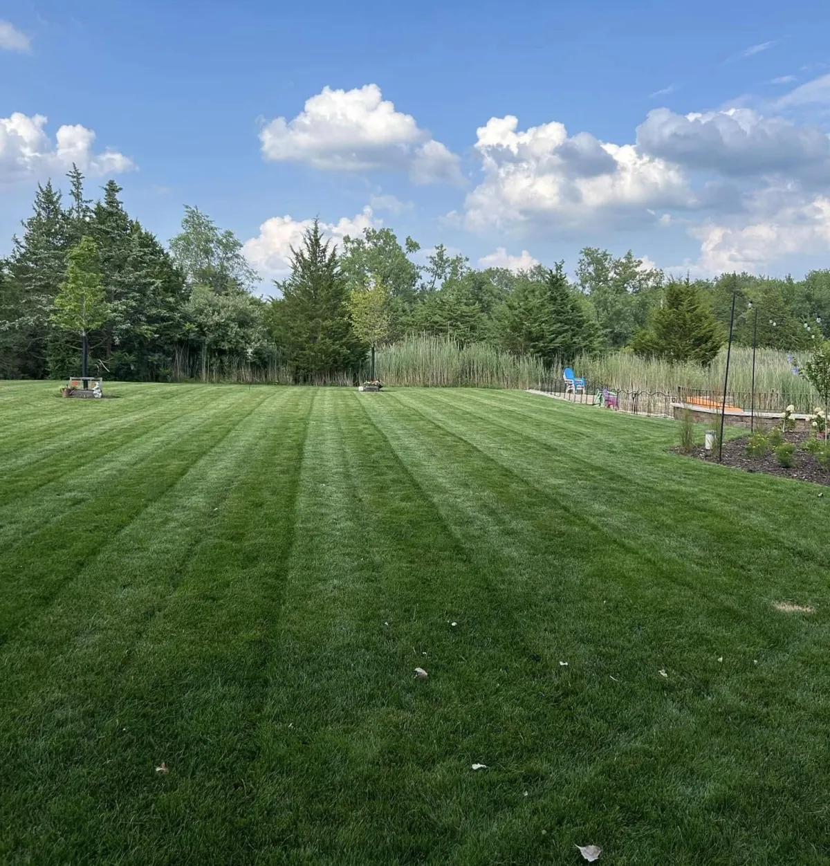 Lawn Mowing Services