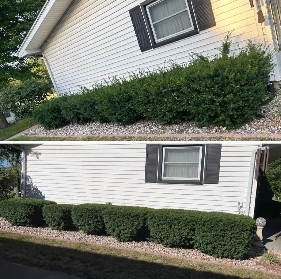 Hedge Trimming Services