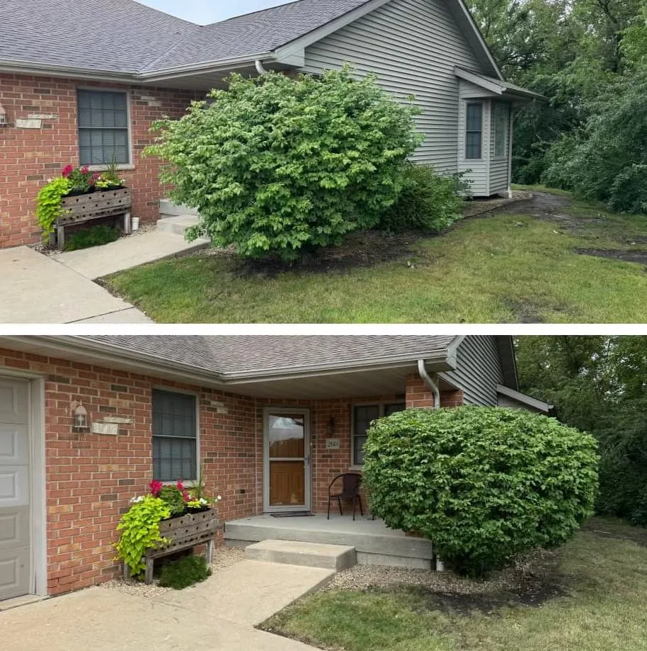 Hedge Trimming